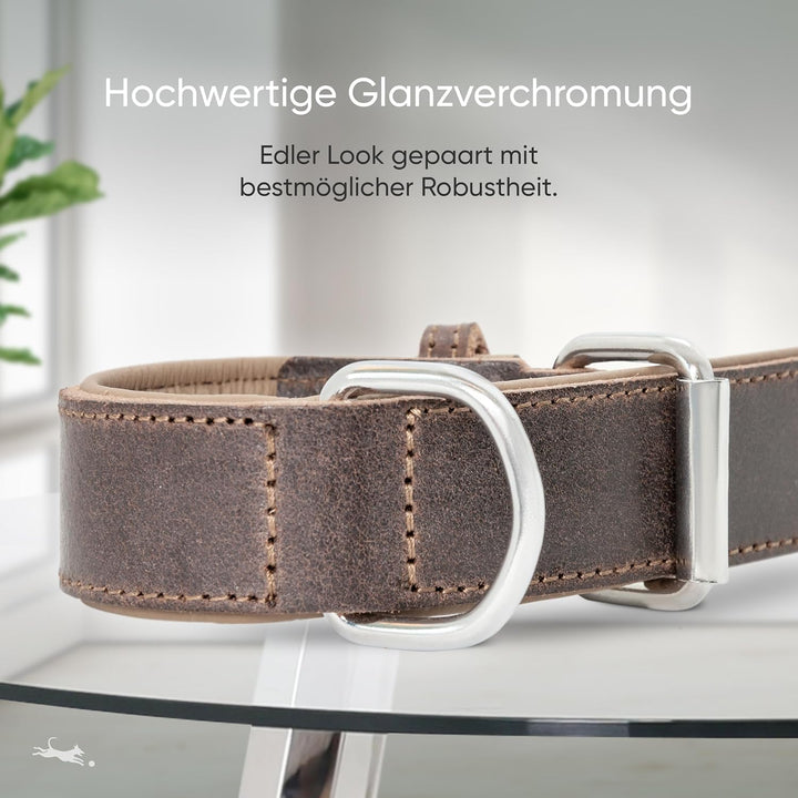 FREUDENTIER Hundehalsband aus zertifiziertem Leder - Inkl. Geschenksäckchen - Gepolstert & super kom