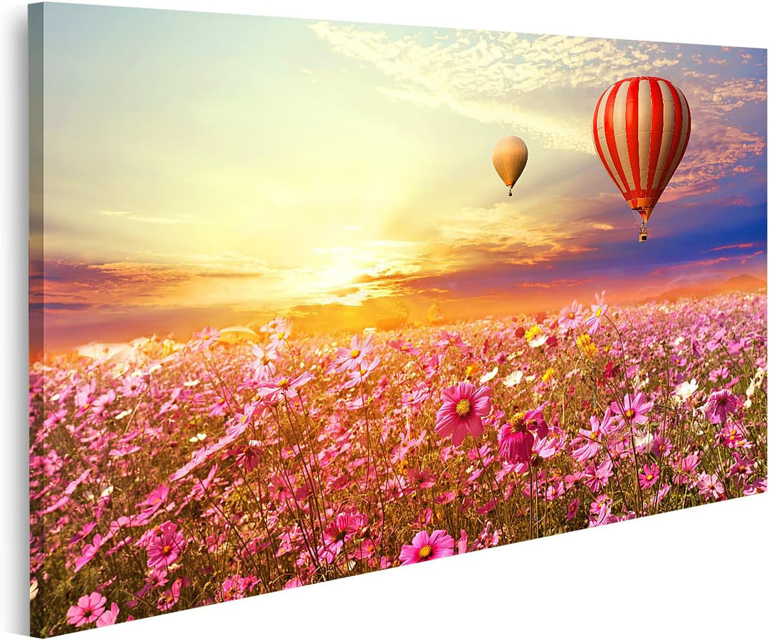 islandburner Bild auf Leinwand Landschaft Kosmosblumenfeld Und Heissluftballon Bei Sonnenuntergang V