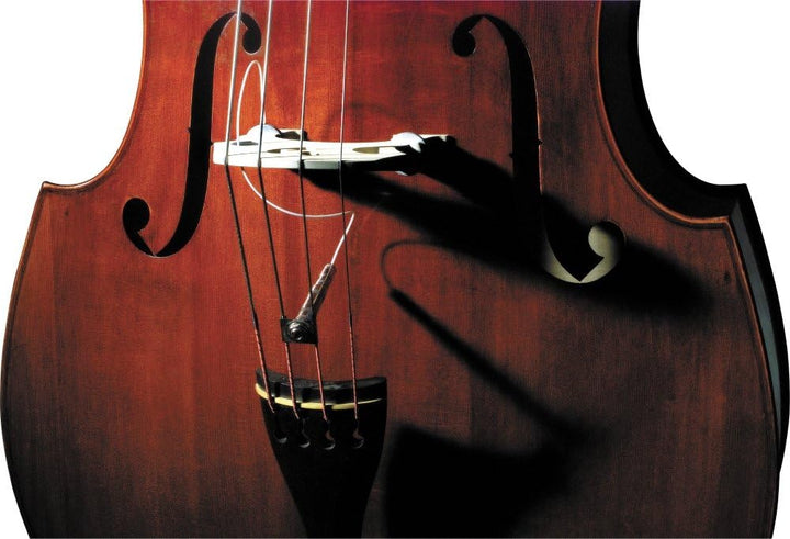 Fishman Vollkreis-Format 1/4-20