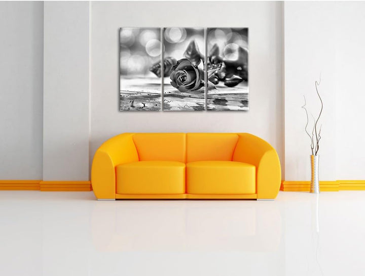 Pixxprint Rose auf Holztisch als Leinwandbild/Grösse: 3 Teilig (120x80) cm/Wandbild/Kunstdruck/ferti