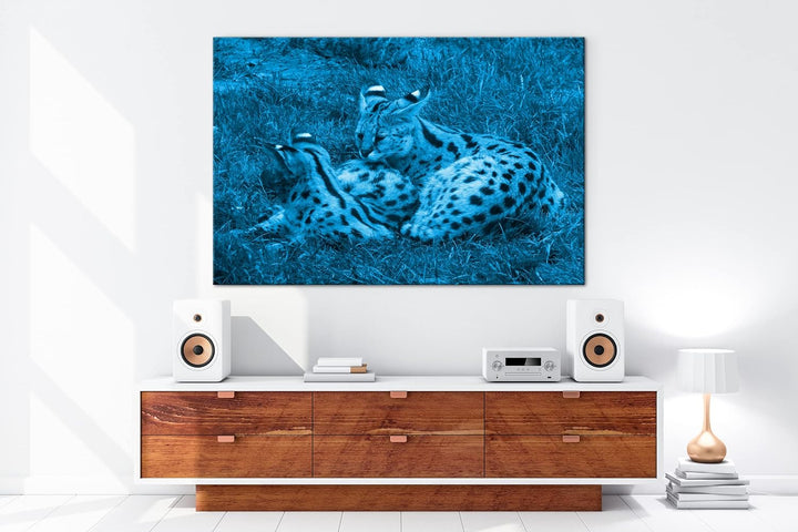 deyoli zwei kuschelnde Servale Felines Katzen Format 80x60 Effekt: Monocrome Blau als Leinwandbild,