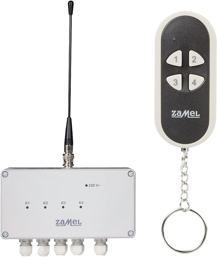 ETERO Funkschalter Set mit Sender, 4-Kanal, RWS-211C/N & Zamel P- 258/4 Fernbedienung Bundle mit Fer