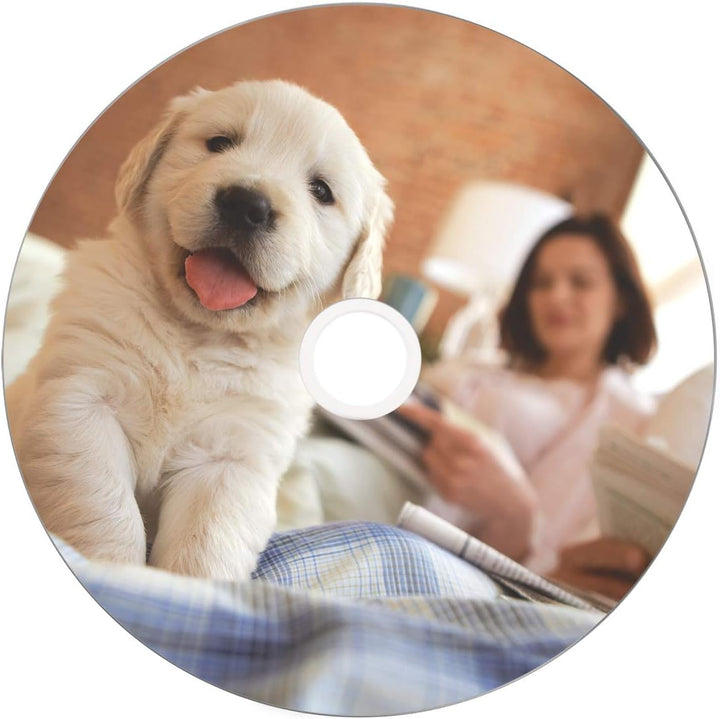 Verbatim DVD-R 8x Double Layer Wide Thermal Printable 8.5GB, DataLifePlus, 50er Pack Spindel, DVD Ro