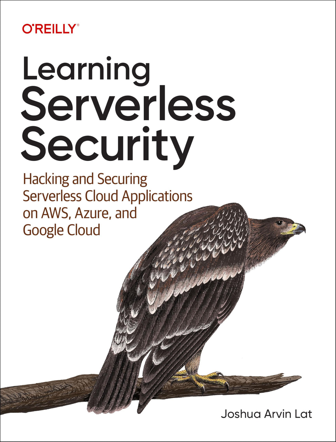 Learning Serverless Security: Hacking and Securing Serverless Cloud Applications on Aws, Azure and G