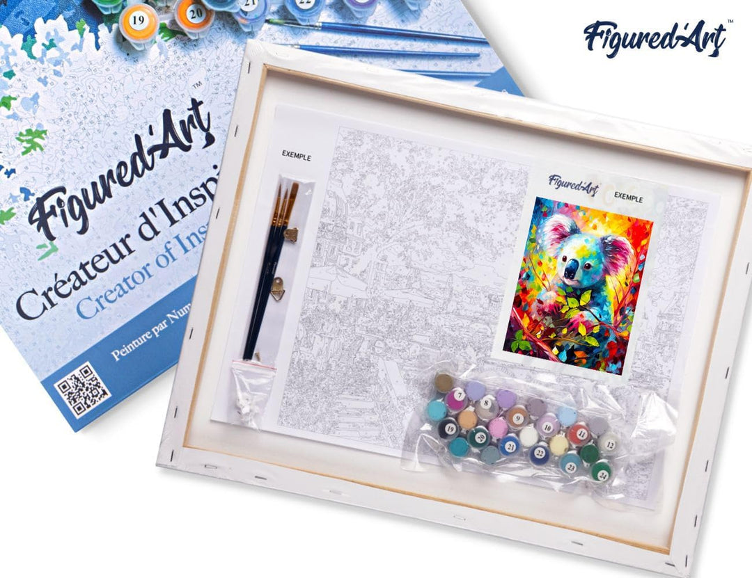 Figured'Art Malen Nach Zahlen Erwachsene Mit Rahmen Koala Farbenfroh Abstrakt - Paint by Numbers Bas