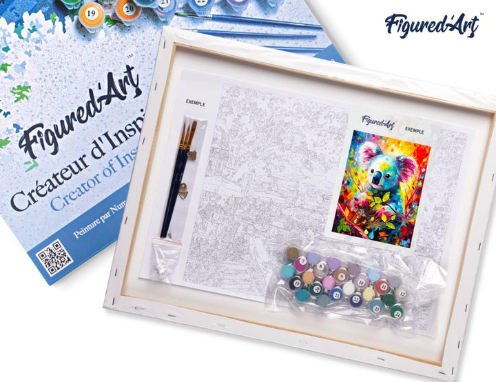 Figured'Art Malen Nach Zahlen Erwachsene Mit Rahmen Koala Farbenfroh Abstrakt - Paint by Numbers Bas