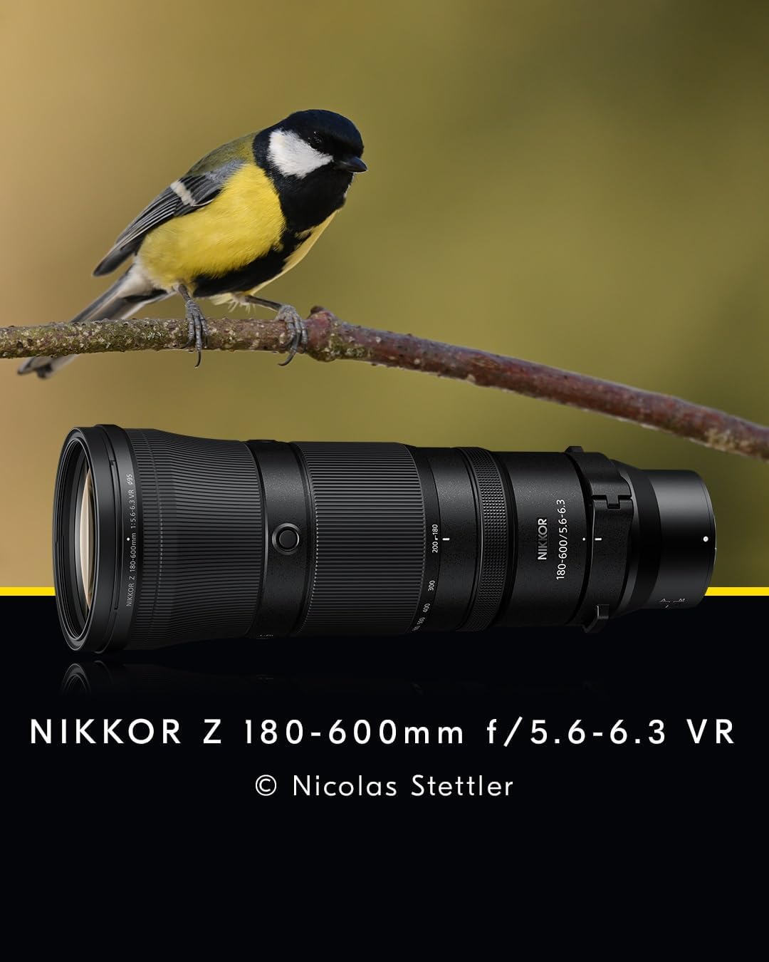 NIKON NIKKOR Z 180-600mm f/5.6-6.3 VR, 180-600mm f/5.6-6.3 VR