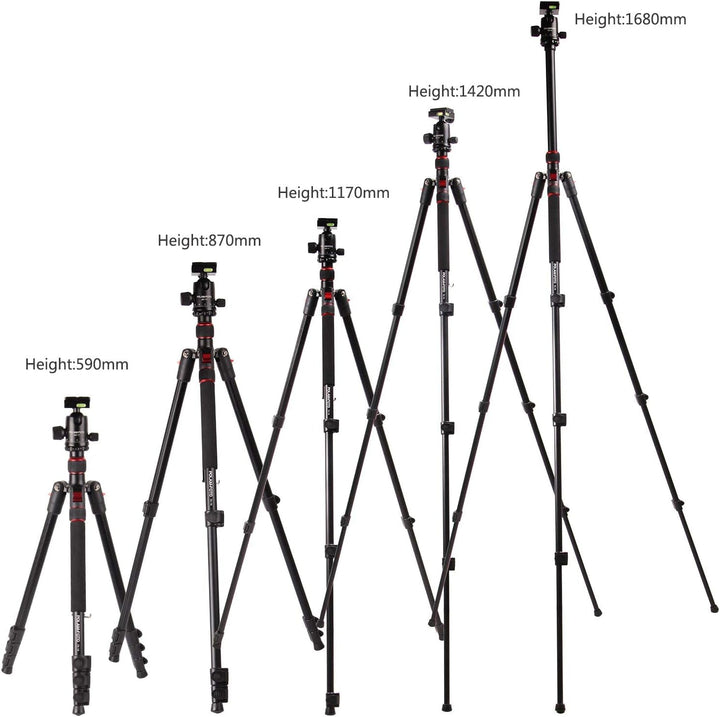 POLAM-FOTO 168cm Kamera Stativ Aluminiumlegierungen Stativ mit Einbeinstativ und 360° Kugelkopf， Rei