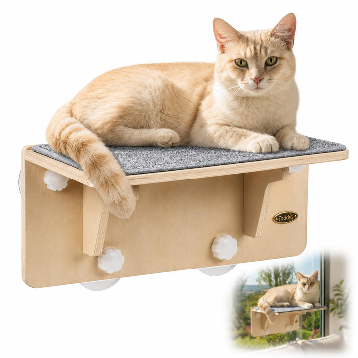 Fensterliege für Katzen, Kletterwand Katzen 2-in-1 für Wand &amp; Glas, Katzenliege mit Waschbar Abnehmb