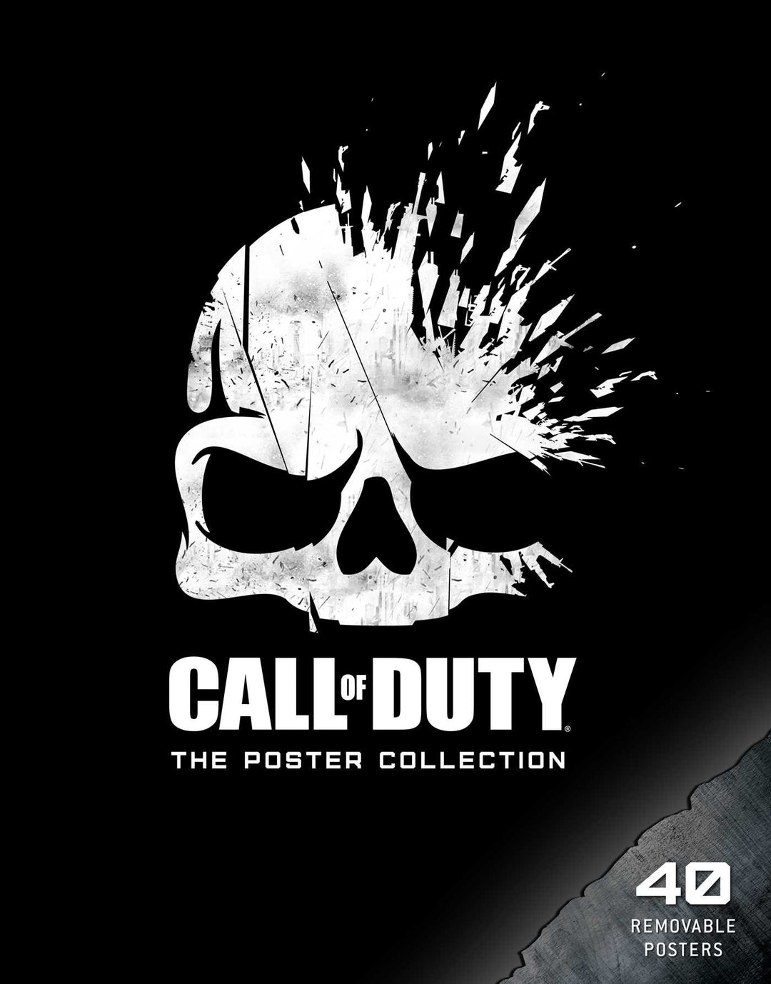Call of Duty: Poster Collection (Insights Poster Collections), Taschenbuch