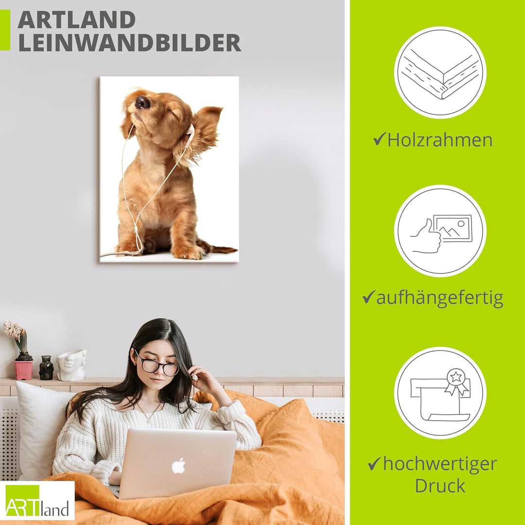 Artland Leinwandbild Wandbild Bild auf Leinwand 60x80 cm Wanddeko Hund Tiere Musik Dackel Welpen Lus