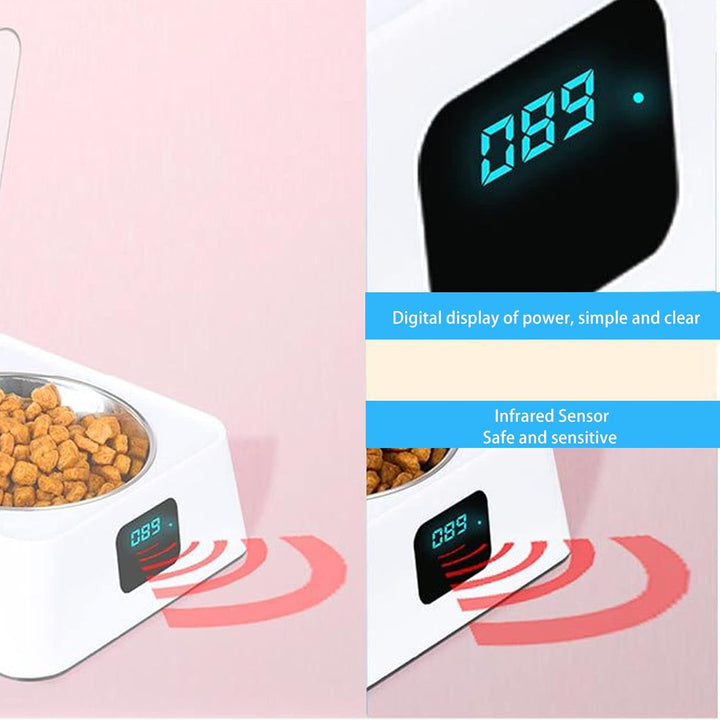 Katzenfutter Automat, Futterautomat Katze Automatisch Katze Futternapf mit Sensor Automatischer Futt
