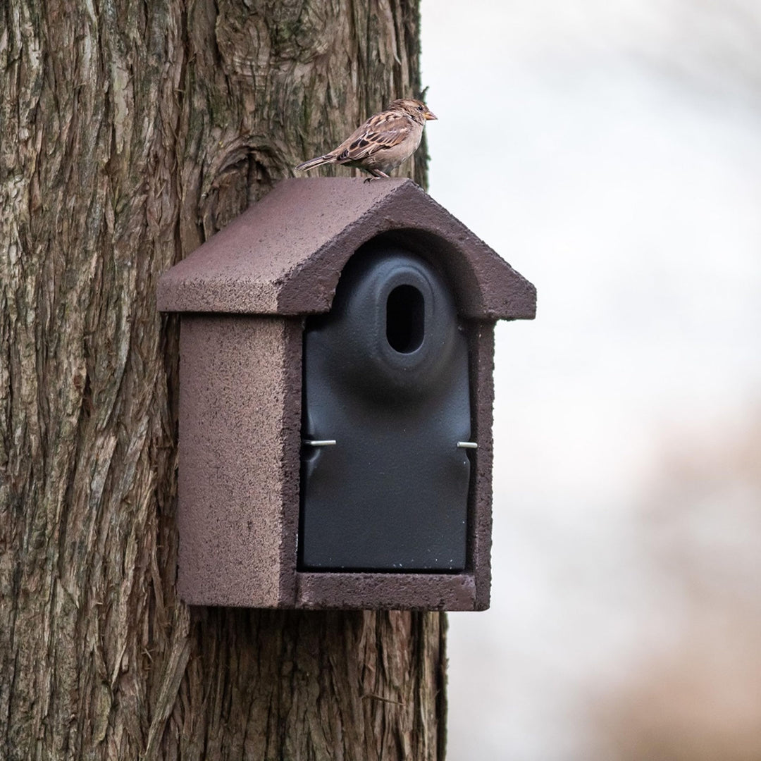 CJ Wildlife Nistkasten – Vogelnistkasten für draussen Wetterfest – Woodstone® 32 mm Oval-Einflugloch