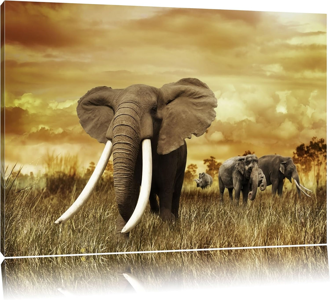Stolzer Elefant in Savanne Format: 100x70 auf Leinwand, XXL riesige Bilder fertig gerahmt mit Keilra