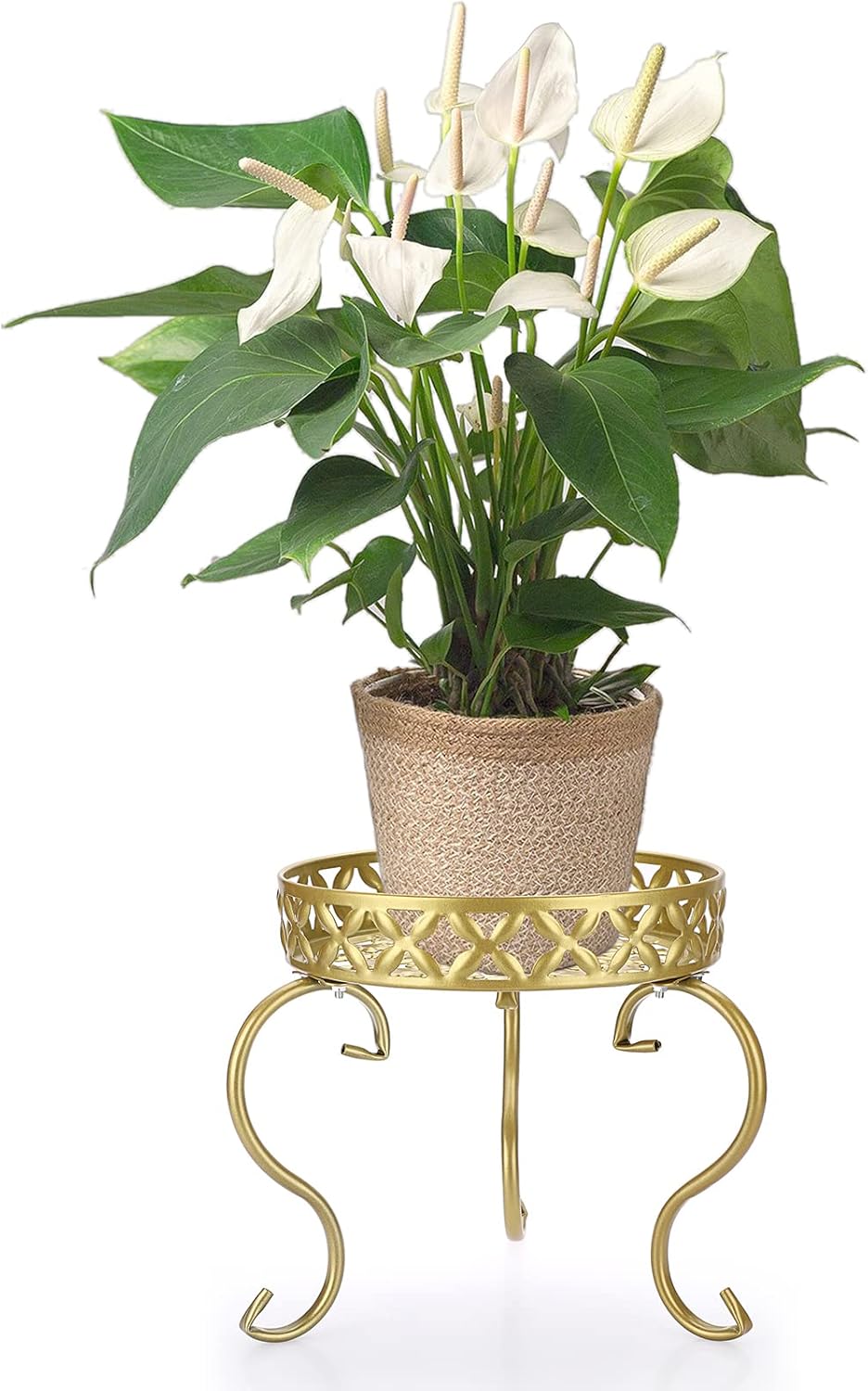 SUMTree Pflanzenständer Golden Pflanzenhocker Blumenständer Blumenhocker Blumentopfhalter Blumentrep