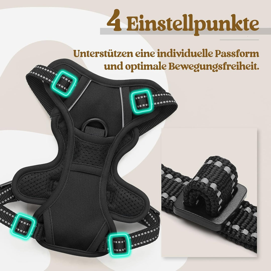 rabbitgoo Hundegeschirr Kleine Hunde, Anti Zug Geschirr mit Kontrolle, No Pull Verstellbar Hundegesc