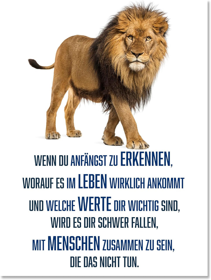 wandmotiv24 Motivations Motiv als Leinwandbild, 100x75cm, Hochformat, Werte, Löwe, Weiss, Blau, Tier