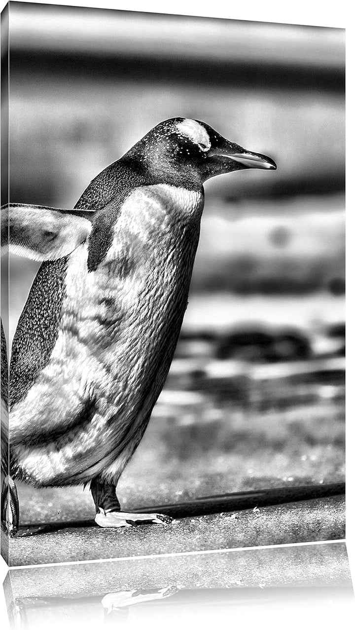 Pinguin am Strand / 100x70cm Leinwandbild bespannt auf Holzrahmen/Wandbild Kunstdruck Dekoration, 10