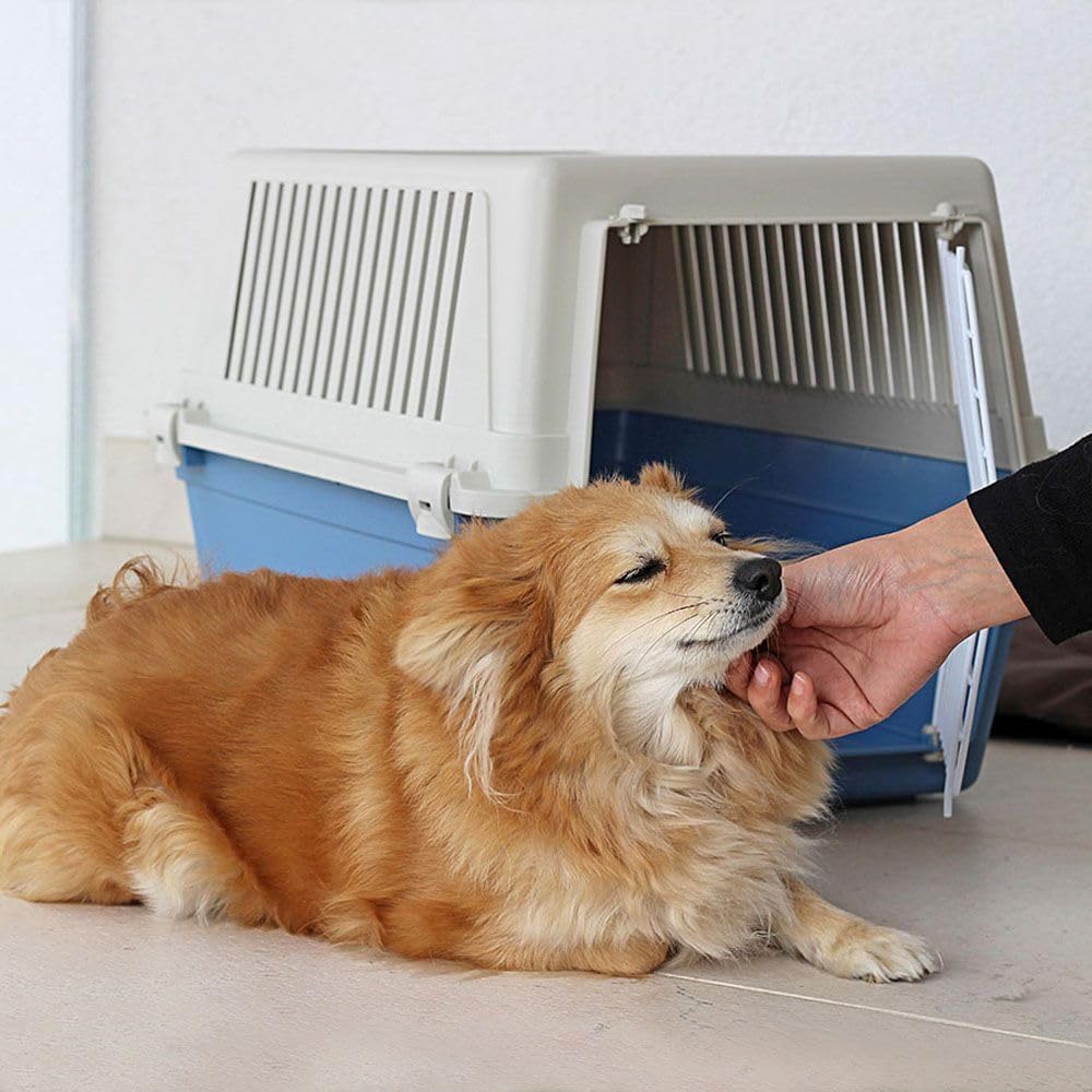 Ferplast Transportbox für Haustiere Hundebox für kleine Hunde und Katzen Atlas 30 EL, Transportbox f