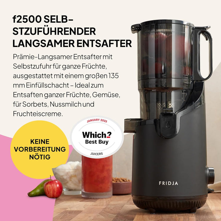 Leistungsstarke selbst fütterende ganze Fruchtmastaturen Slow Juicer, 135 mm Fütterungsschacht, 300