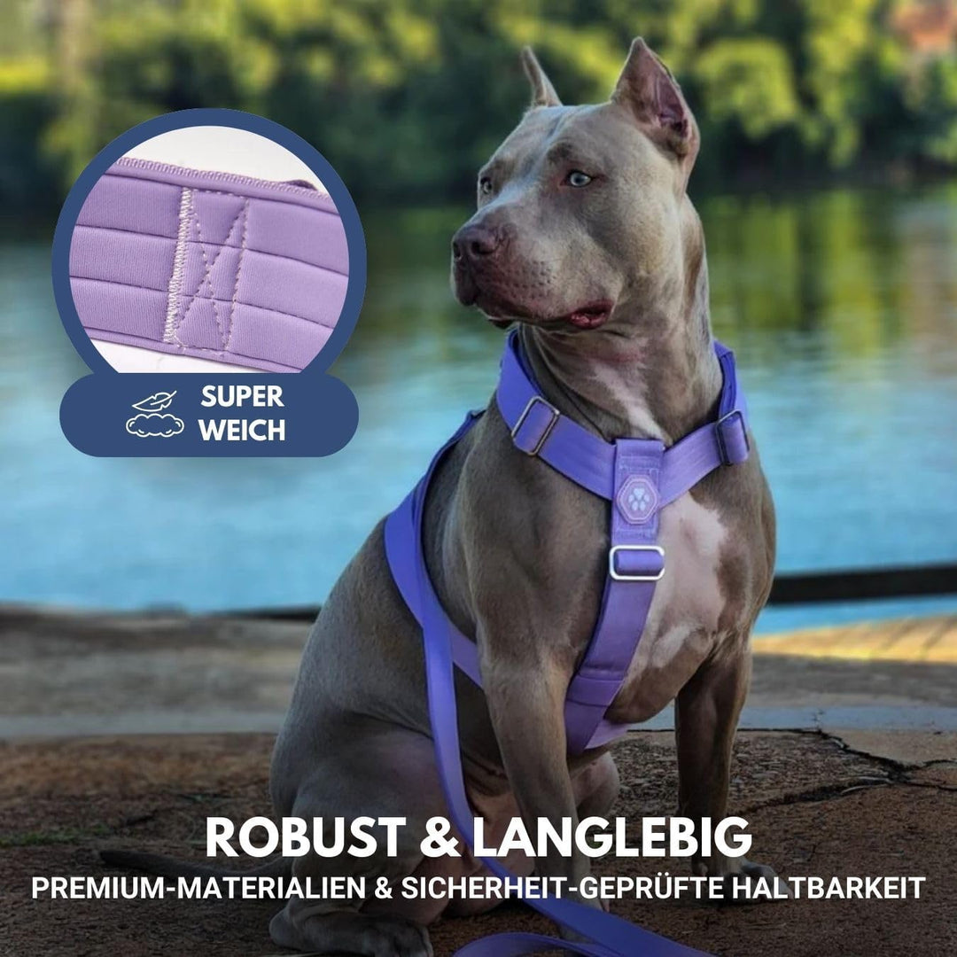 Spark Paws No-Pull Hundegeschirr – Entwickelt für Sicherheit und Kontrolle, ideal für grosse, kräfti
