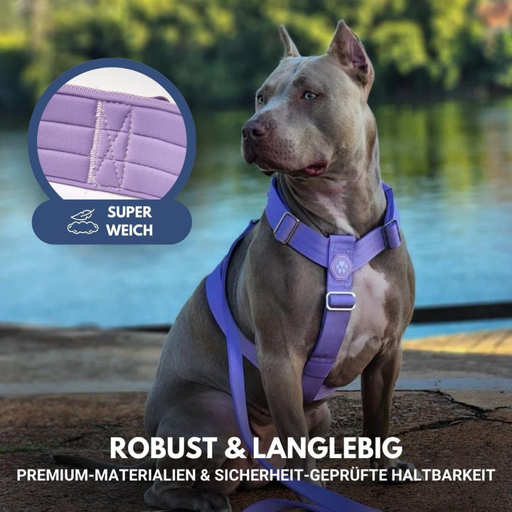 Spark Paws No-Pull Hundegeschirr – Entwickelt für Sicherheit und Kontrolle, ideal für grosse, kräfti
