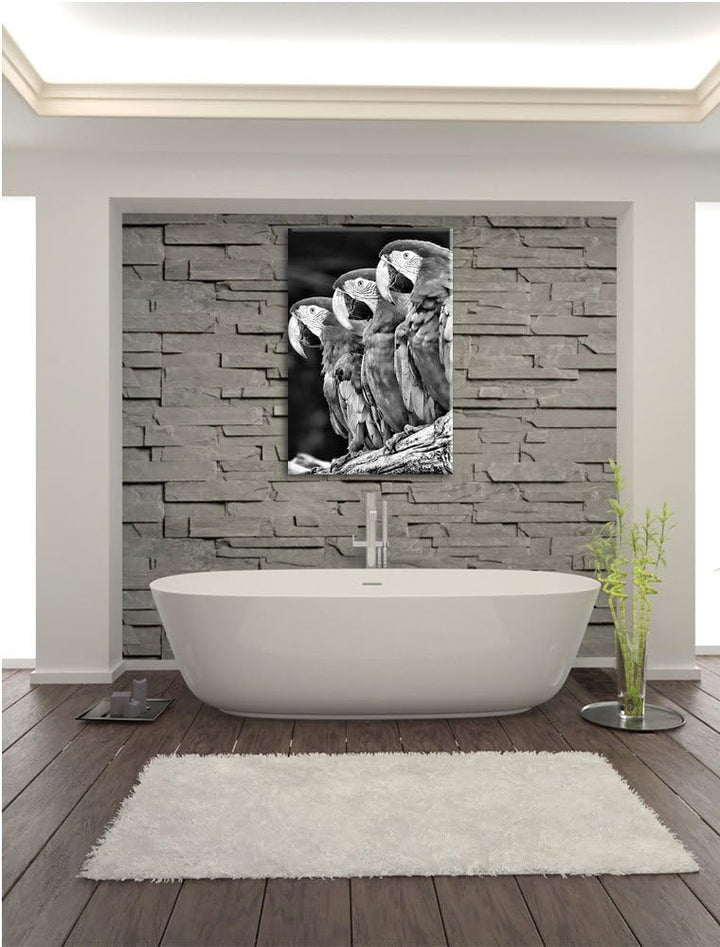 Papageien auf AST als Leinwandbild/Grösse: 100x70 / Wandbild/Kunstdruck/fertig bespannt, 100x70