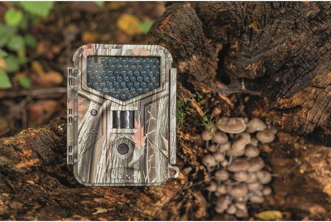 Dörr Snapshot Extra Black 12.0I HD Outdoor