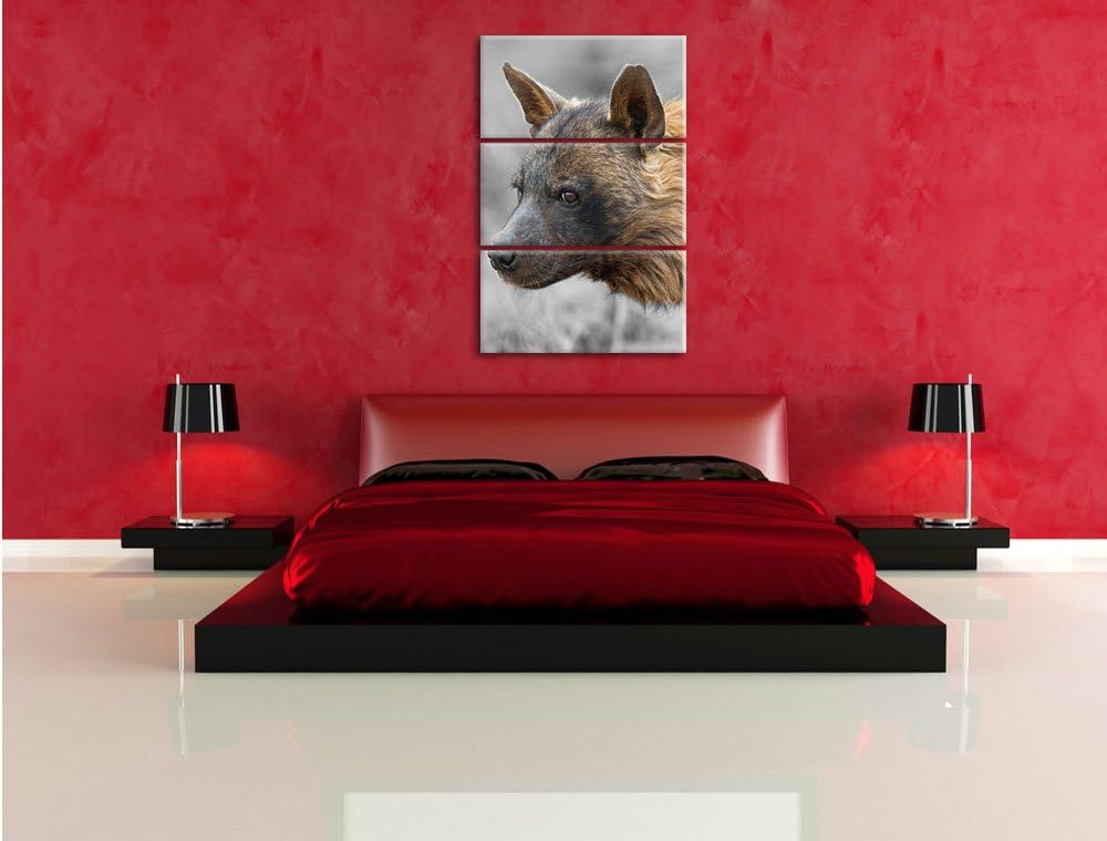 Pixxprint anmutige Hyäne im Wildgras als Leinwandbild/Grösse: 3 Teilig (120x80) cm/Wandbild/Kunstdru