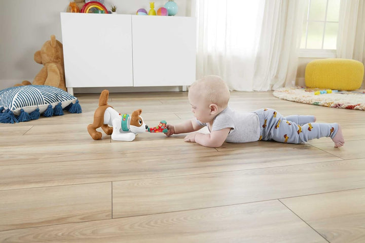 123 Crawl with Me Puppy