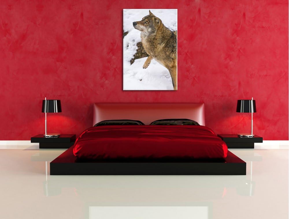 Pixxprint schöner Wolf im Schnee auf Leinwand, XXL riesige Bilder fertig gerahmt mit Keilrahmen, Kun