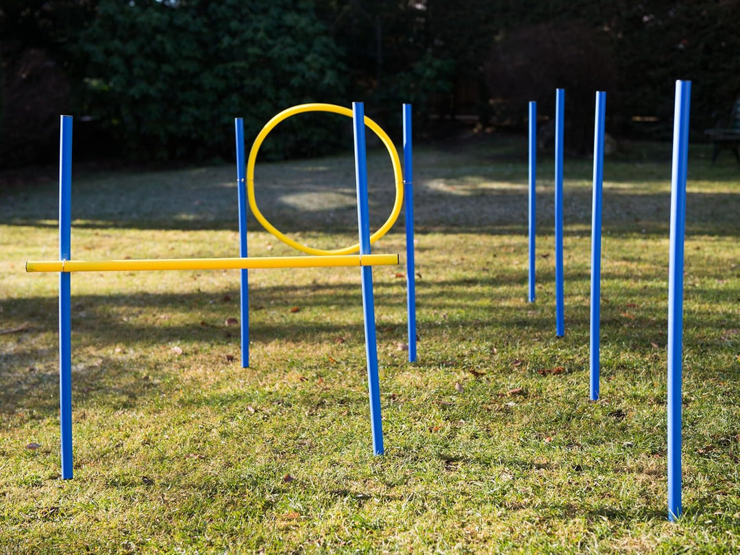 Ingbertson Agility Kit für Hunde – Komplettes Agility-Set für Garten & Hundesport, Hürden & Slalomtr