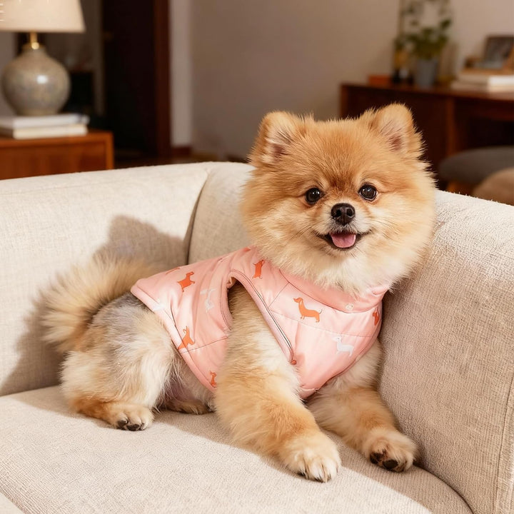 Hundemantel Winter Hundejacke Warme Hundemantel für Kleine Hunde Winddichte Hundeweste mit Geschirr