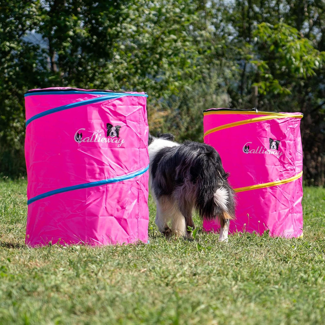 Callieway Hoopers Agility Barrel – Tonne/Fass für Hundetraining (Doppelpack, Blau) | Leicht, stabil