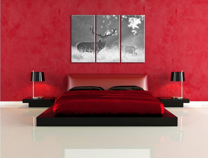 Pixxprint Rotwild im Morgenlicht als Leinwandbild/Grösse: 3Teilig (120x80) / Wandbild/Kunstdruck/fer