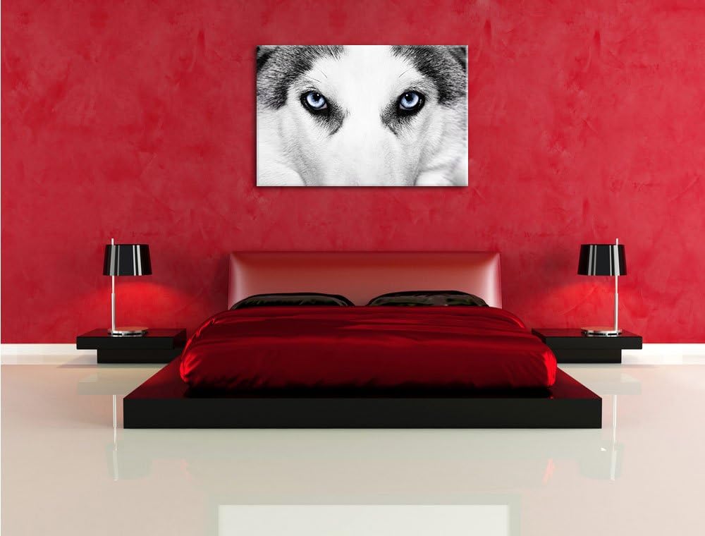 Husky mit Eisblauen Augen Format: 100x70 auf Leinwand, XXL riesige Bilder fertig gerahmt mit Keilrah