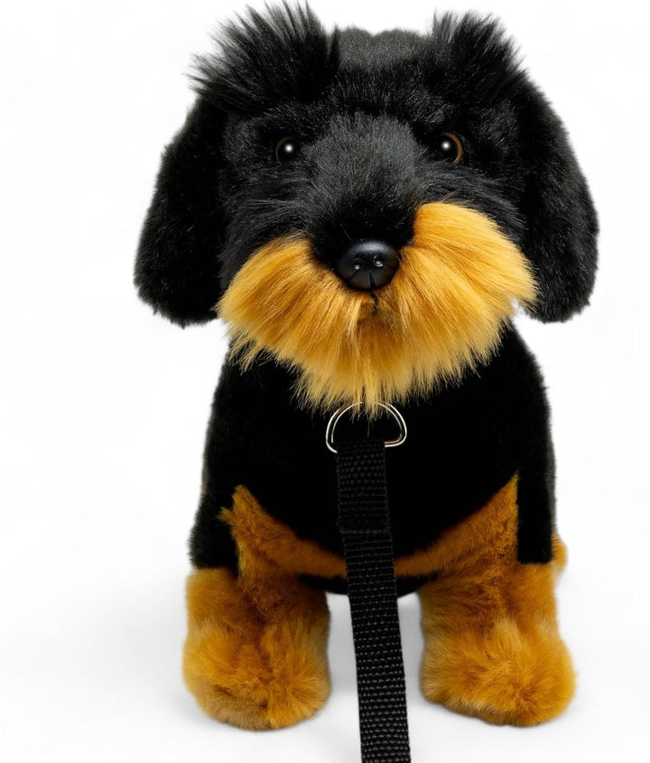 Carl Dick Dackel, Rauhaardackel mit Leine sitzend schwarz, Hund, Plüschtier, Kuscheltier ca. 30cm 35