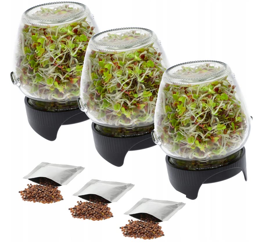 3 X KEIMBOX Keimgarten, Keimgerät, Keimglas Twist-Off + Radieschensamen