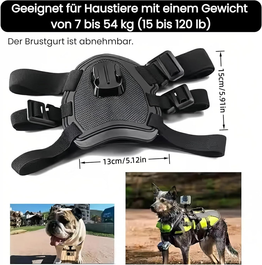 Haustier Geschirr für GoPro, Hundegeschirr für GoPro 13 12 11 10 9 8 7 Insta360 X5 X4 X3 Go3s DJI Os