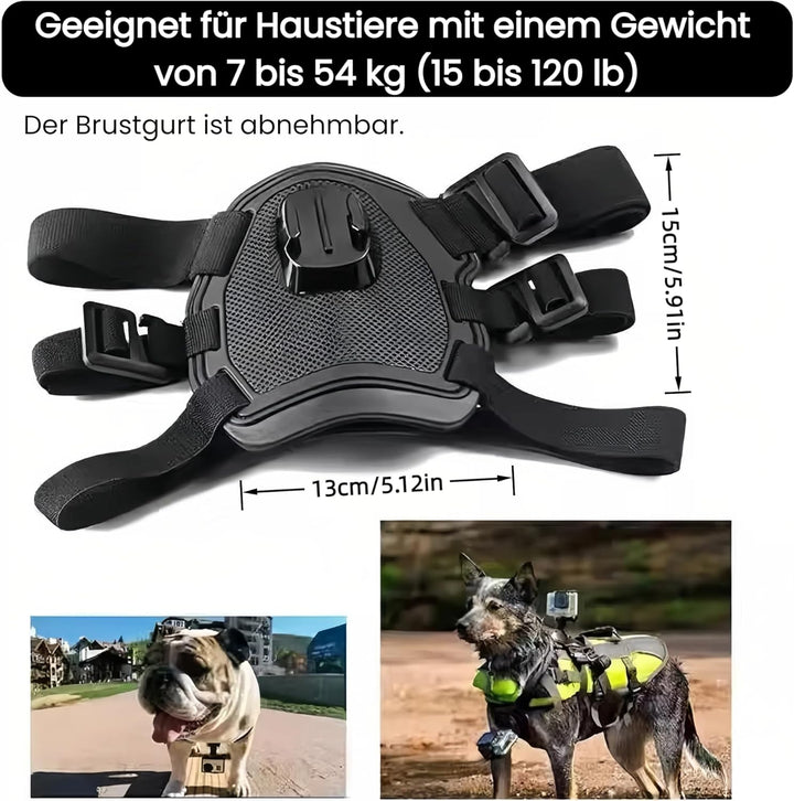 Haustier Geschirr für GoPro, Hundegeschirr für GoPro 13 12 11 10 9 8 7 Insta360 X5 X4 X3 Go3s DJI Os