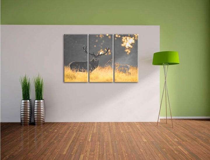 Pixxprint Rotwild im goldenen Morgenlicht als Leinwandbild/Grösse: 3 Teilig (120x80 cm) cm/Wandbild/
