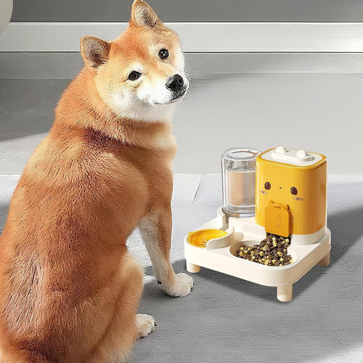 Automatischer Katzenfutterautomat | 2 In 1 Futterautomat Für Katzen,Abnehmbarer Trinknapf Für Hunde