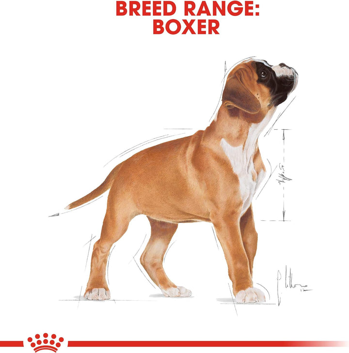 ROYAL CANIN Boxer Junior 3 kg, 1er Pack (1 x 3 kg) 3 kg (1er Pack), 3 kg (1er Pack)