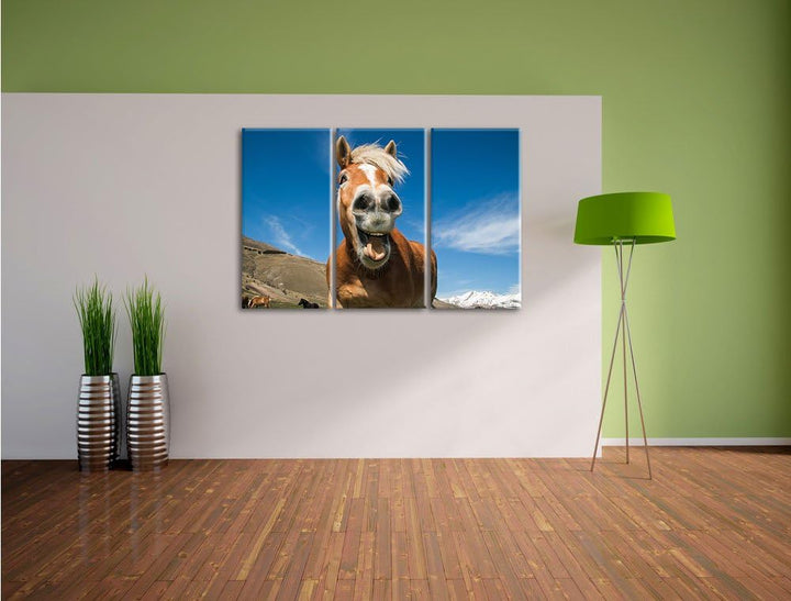 Pixxprint Lustiges Pferd in der Natur als Leinwandbild - Grösse: 3-Teilig (120x80cm) - Wandbild - Ku