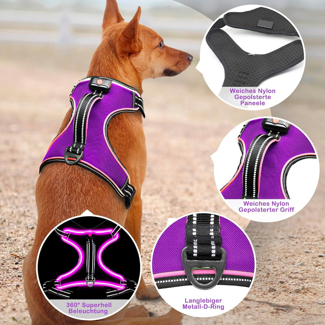 Hundegeschirr Leuchtend Wiederaufladbares Leuchtgeschirr für Hunde Led Beleuchtetes Hundegeschirr fü