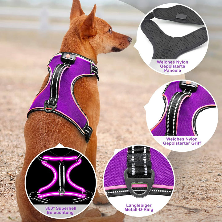 Hundegeschirr Leuchtend Wiederaufladbares Leuchtgeschirr für Hunde Led Beleuchtetes Hundegeschirr fü