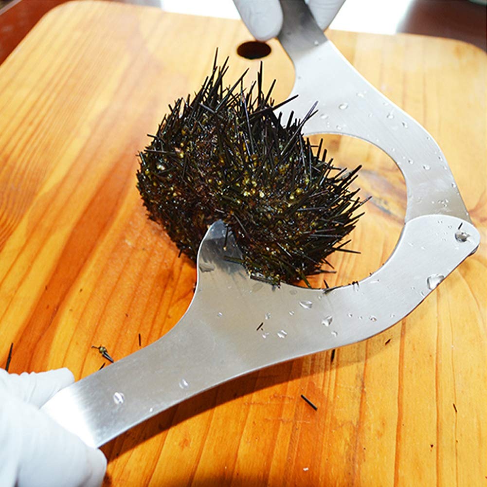 RIZGHWOY Seeigelschneider, Edelstahlöffner mit Scharfer Klinge, Zum Einfachen Öffnen von Meeresfrüch