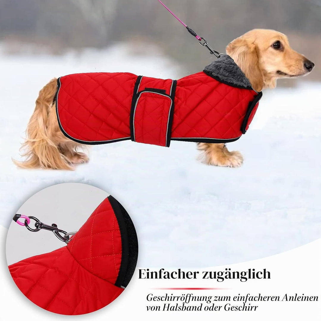 Geyecete - Warmer wintermantel für dackel Hunde,Hunde Winterjacken mit plüschfutter,Outdoor jacken m