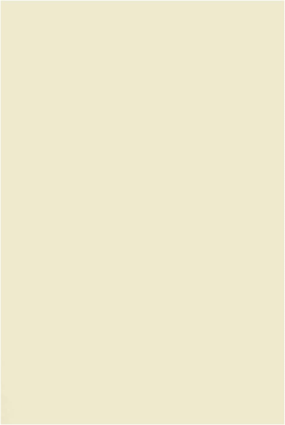 Netuno 1000x Bastelpapier Elfenbein DIN A4 210 x 297 mm 120g Arena Smooth Ivory Druckerpapier cremef