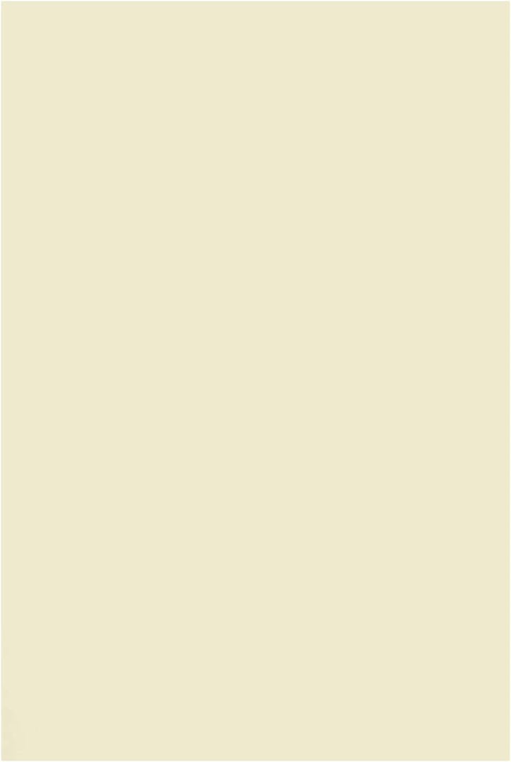 Netuno 1000x Bastelpapier Elfenbein DIN A4 210 x 297 mm 120g Arena Smooth Ivory Druckerpapier cremef